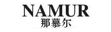 什么是NAMUR輸出標(biāo)準(zhǔn) 什么是NAMUR輸出標(biāo)準(zhǔn)